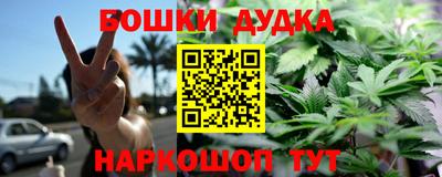 прущие грибы Апшеронск