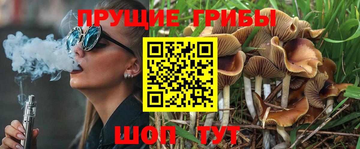 купить наркотик  Псилоцибиновые грибы Psilocybe  Вход с VPN  Великий Новгород 